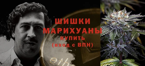 PSILOCYBIN Нефтекумск