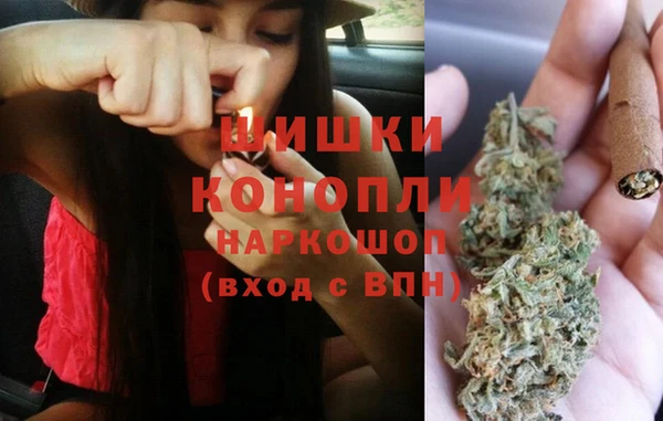 PSILOCYBIN Нефтекумск