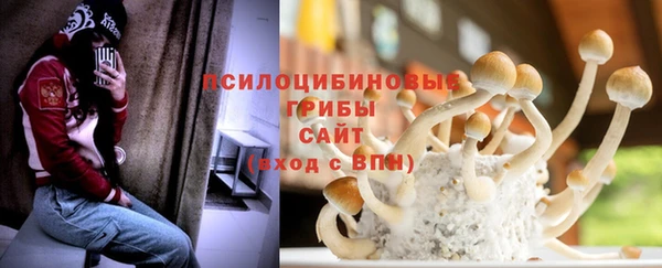PSILOCYBIN Нефтекумск