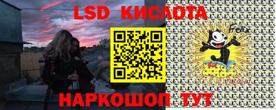 гидра Будённовск