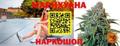 гидра Будённовск