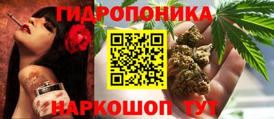дживик Кандалакша