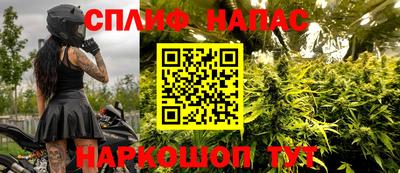дживик Кандалакша