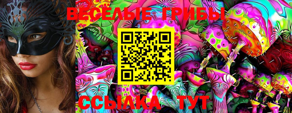 Псилоцибиновые грибы мухоморы  Псилоцибиновые грибы GOLDEN TEACHER  Таганрог 