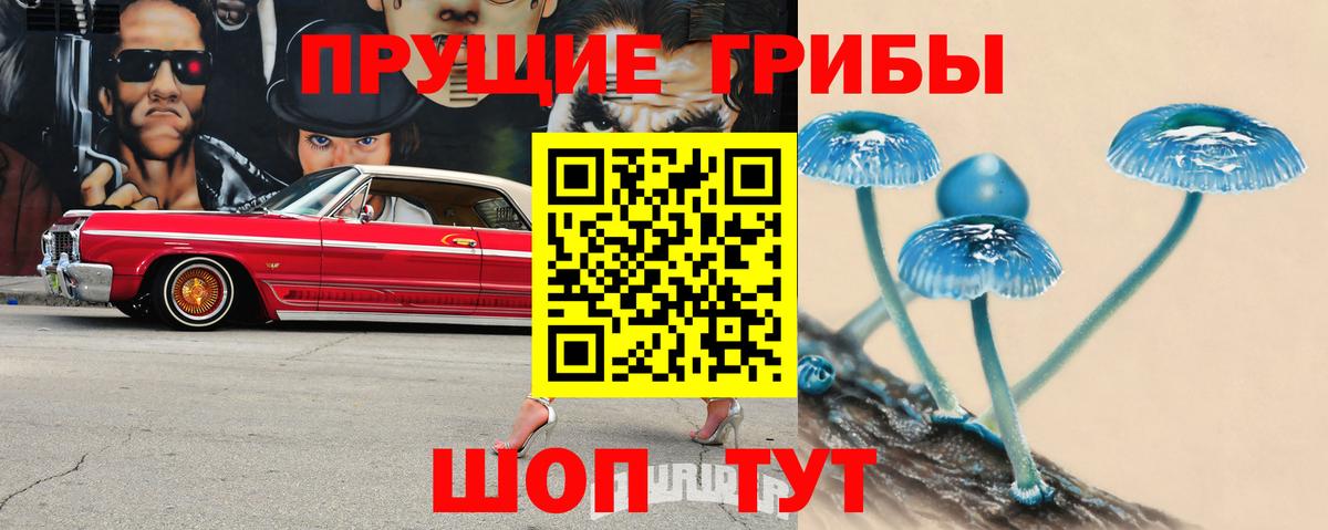 Галлюциногенные грибы MAGIC MUSHROOMS  Вход с VPN  Таганрог 